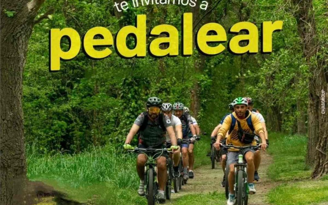 Alquiler de bicis y paseos de cicloturismo