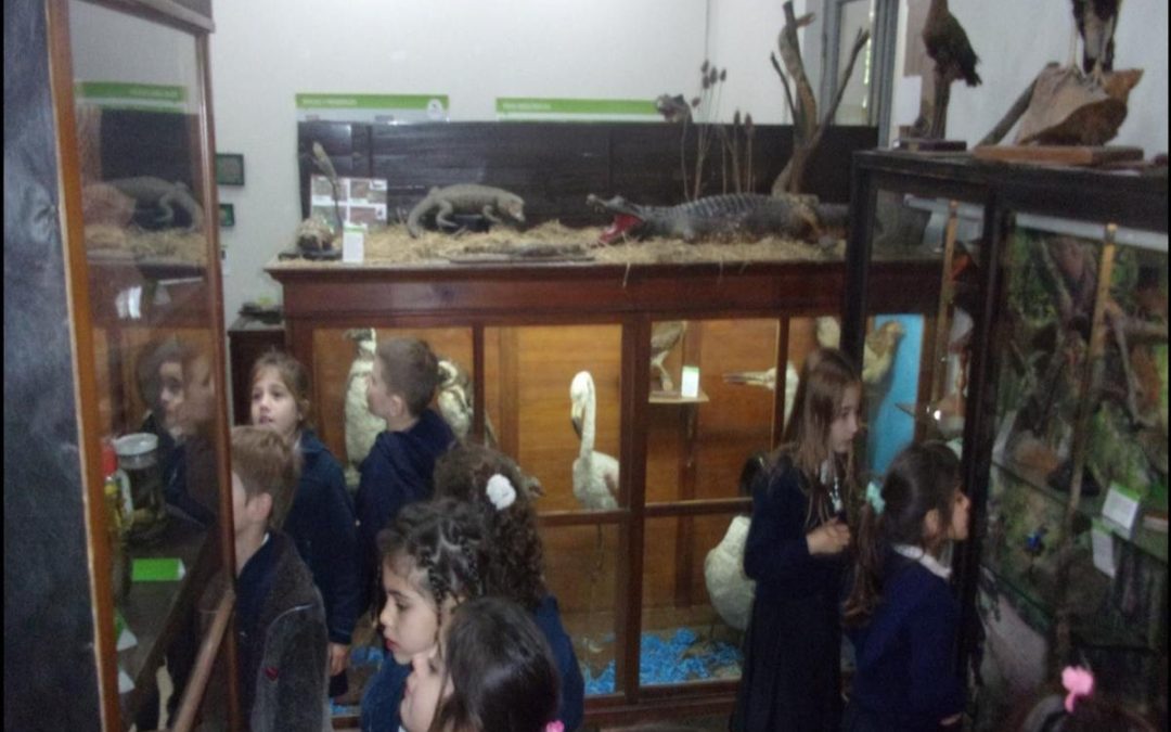 Museo Natural e Histórico ‘Juanita Erausquin’