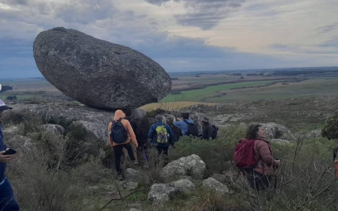 Reconocimiento de flora y fauna por las sierras
